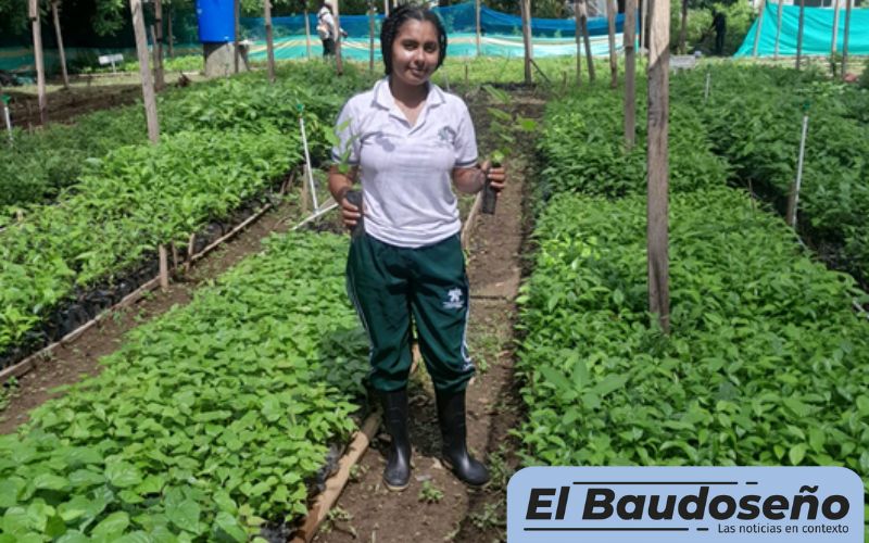 Joven chocoana muestra gran interés por capacitarse y estudia tres carreras con ayuda de la conexión a Internet del Punto Digital de Unguía.