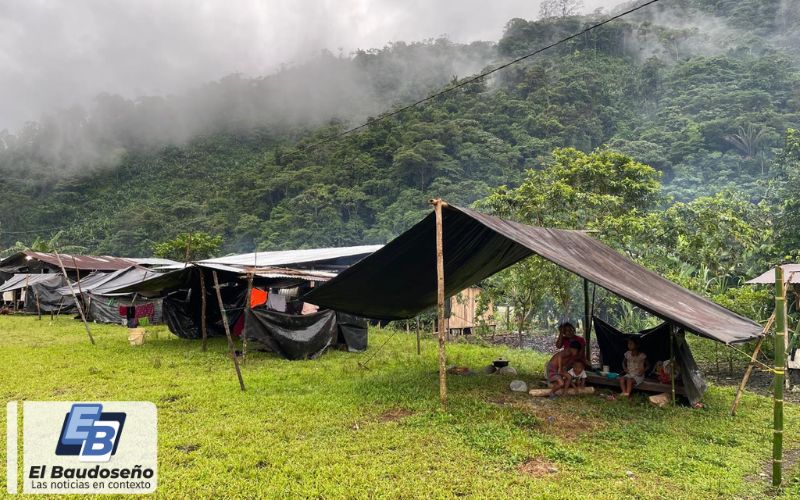 El Foro Interétnico Solidaridad Chocó hace un llamado al Gobierno Nacional y al ELN para que no se levanten de la mesa y sostengan la prórroga de cese al fuego.