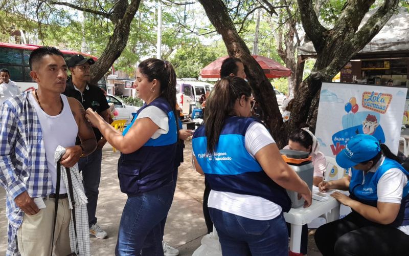 Fiebre amarilla: se encienden las alarmas por la propagación de la enfermedad.