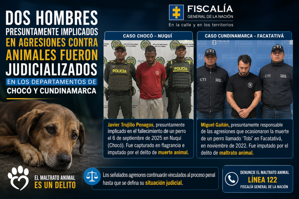 Dos hombres presuntamente implicados en agresiones contra animales fueron judicializados en los departamentos de Chocó y Cundinamarca.