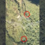 Fuerza Aérea localiza indicios de aeronave Cessna desaparecida en inmediaciones del Parque Tatamá