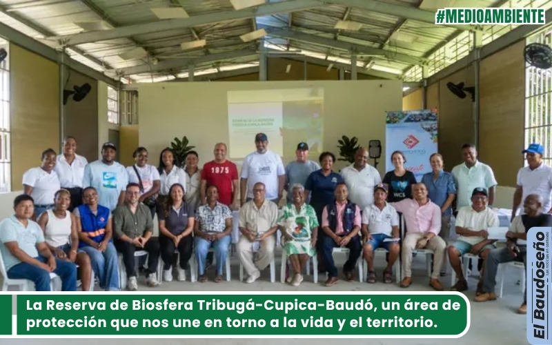 La Reserva de Biosfera Tribugá-Cupica-Baudó, un área de protección que nos une en torno a la vida y el territorio